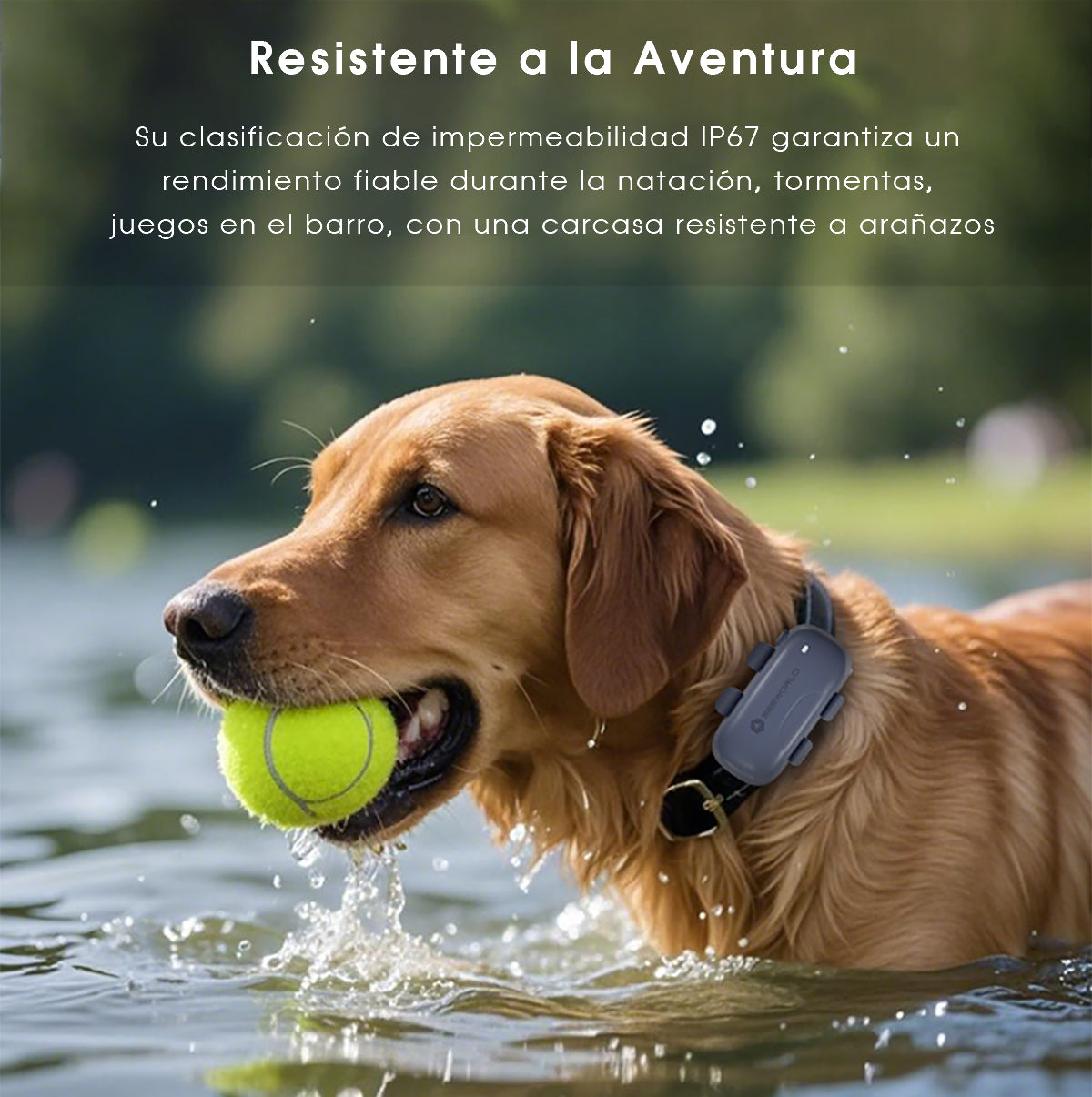 Collar SeeWorld Gps Rastreador Para Perro Gato Alerta Tiempo Real 4G