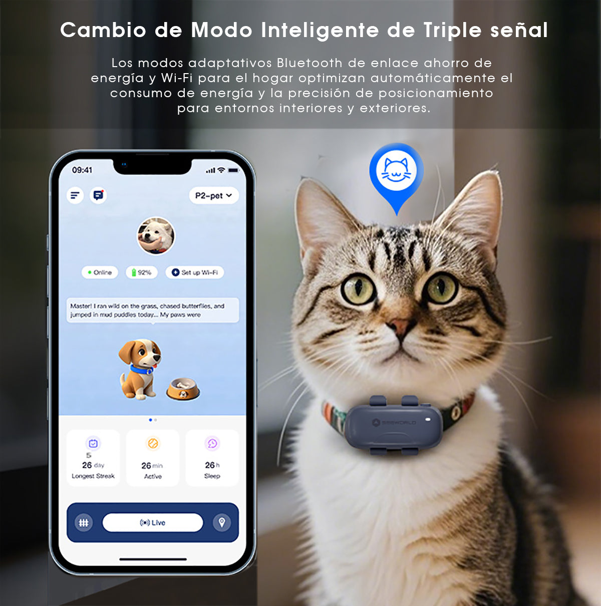 Collar SeeWorld Gps Rastreador Para Perro Gato Alerta Tiempo Real 4G