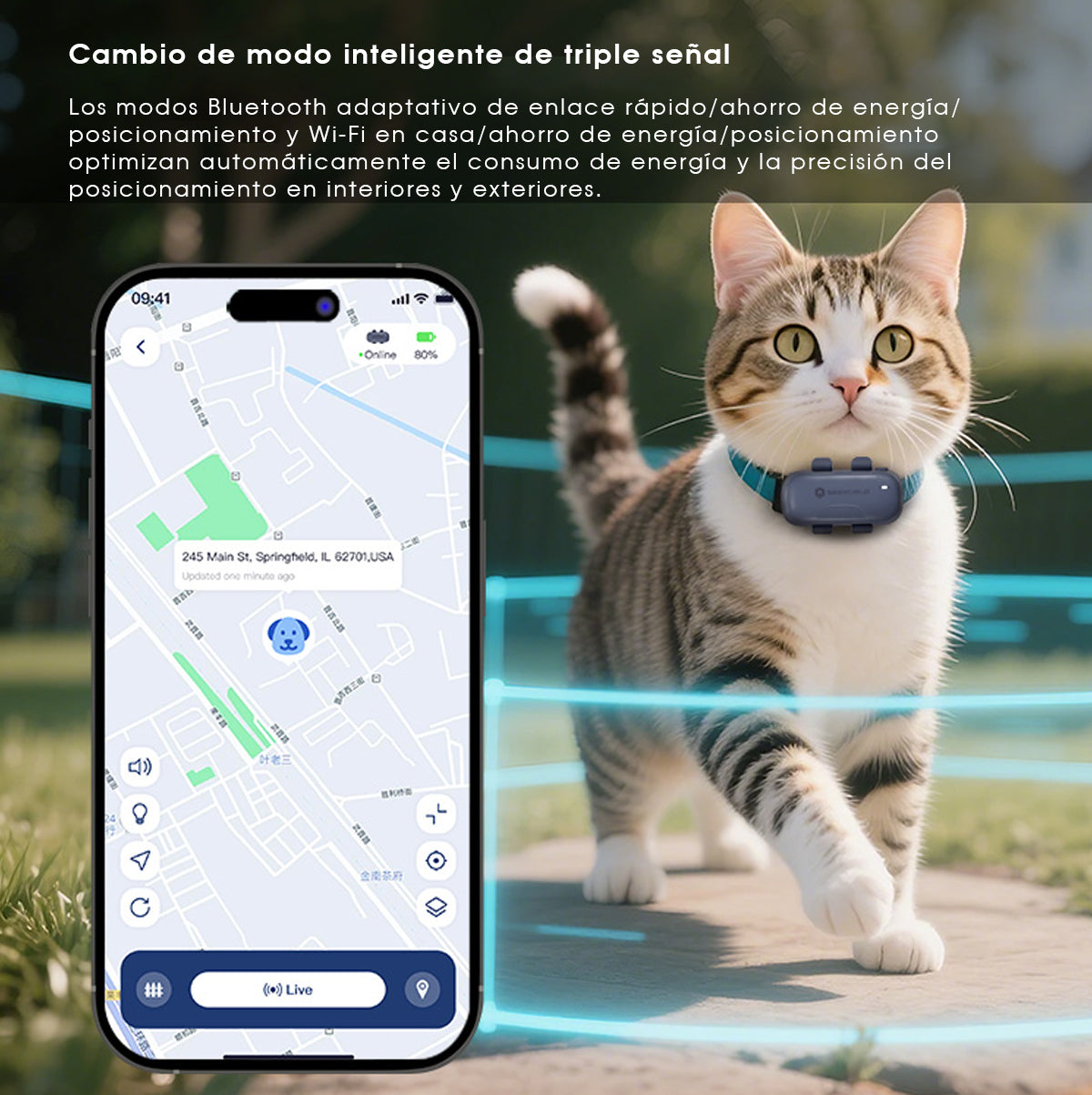 Collar SeeWorld Gps Rastreador Para Perro Gato Alerta Tiempo Real 4G